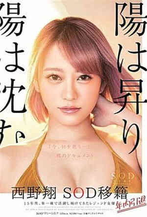 STARS-13-Sunrise and Sunset Nishino Sho SOD resigns within the year of transfer